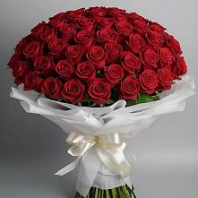 Букет 101 Красная роза Блэк Мэджик в Чулки-Соколово