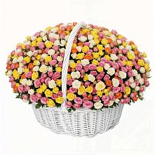 Премиум букет из: Розы в Чулки-Соколово