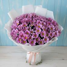 Букет цветов из:  Хризантемы в Чулки-Соколово