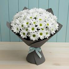 Букет цветов из:  Хризантемы в Чулки-Соколово