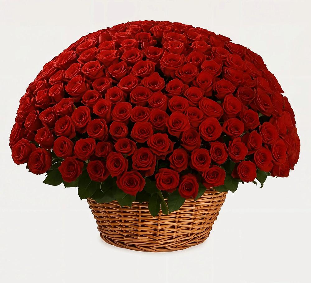 Премиум букет из: Розы в Чулки-Соколово