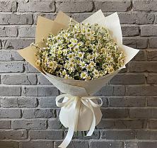 Букет цветов из:  Ромашки в Чулки-Соколово