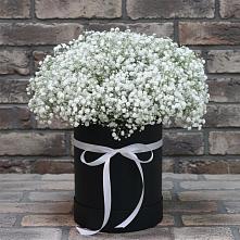 Цветочная композиция из Гипсофила в шляпной коробке в Чулки-Соколово