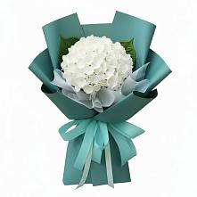 Букет цветов из:  Гортензия в Чулки-Соколово